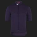 Herren-Fahrradtrikot Rapha Brevet Element Jersey dusted lilac/black 3