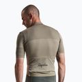 Herren-Fahrradtrikot Rapha Brevet Element Jersey khaki/black 2