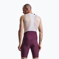 Herren-Radhose Rapha Brevet Element Cargo Bib Shorts plum/white 2