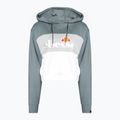 Damen Trainingssweatshirt Ellesse Allesandro grün