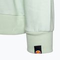 Damen Trainingssweatshirt Ellesse Estate Oh Hoody multicolor 4