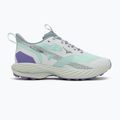 Damen-Laufschuhe Mizuno Wave Rider TT 2 bay/hint of mint/paisley purple 2