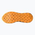 Herren Laufschuhe Mizuno Wave Ibuki 5 rum raisin / rythmic rot / eve primro 3