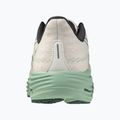Herren Laufschuhe Mizuno Wave Rider 29 weiß/bistro grün/creme de me 5