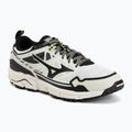 Schuhe Mizuno Wave Daichi LS gf white/black/daiquiri green