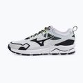 Schuhe Mizuno Wave Daichi LS gf white/black/daiquiri green