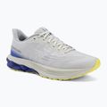 Herren-Laufschuhe Mizuno Wave Skyrise 7 dawn blue/white/dazzling blue