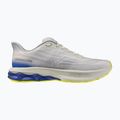 Herren-Laufschuhe Mizuno Wave Skyrise 7 dawn blue/white/dazzling blue