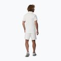 Herren T-Shirt Mizuno Stargazer Shadow Polo white 3