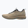 Herren-Laufschuhe Mizuno Wave Rider TT 3 curds & whey/summer sand/north atlantic 8