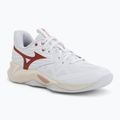 Damen-Volleyballschuhe Mizuno Wave Momentum Pro white/rose elegance/lava falls