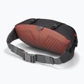 Lowe Alpine Mesa 6 schwarz Nierentasche 3