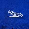 Speedo Placement V Cut Digital Kinder schwimmen Jammer wahr kobalt/Wassermelone/schwimmen lila 4