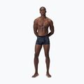 Badeshorts Herren Speedo Valmilton monument 6