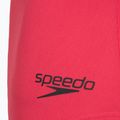 Damen-Einteiler Badeanzug Speedo Flex Band with Swim Bra raspbery fill/vermilion/punch 9