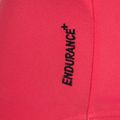 Damen-Einteiler Badeanzug Speedo Flex Band with Swim Bra raspbery fill/vermilion/punch 10