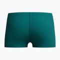 Kinder-Schwimmboxer Speedo Medley Logo Aquashort deep emerald/alfalfa green 2