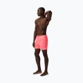 Herren-Badeshorts Speedo Essentials 16" black/neon coral 2