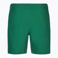 Herren Nike Essential 7" Volley bicoastal Badeshorts 2