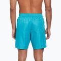 Herren Nike Swim Breaker 7" Volley staubiger Kaktus Schwimmen Shorts 3