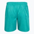 Herren Nike Swim Breaker 7" Volley staubiger Kaktus Schwimmen Shorts 2