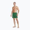 Herren-Badeshorts Nike Essential 5" Volley malachite 2