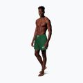 Herren-Badeshorts Nike Lap Logo 5" Volley malachite 2