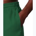 Herren-Badeshorts Nike Lap Logo 5" Volley malachite 5