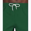 Herren-Badeshorts Nike Lap Logo 5" Volley malachite 6