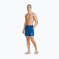 Herren-Badeshorts Nike Logo Lap 5" Volley game royal 6