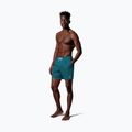 Herren-Badeshorts Nike Breaker Logofetti 5" Volley green abyss 2