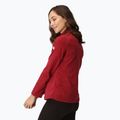 Damen Sweatshirt Hoodie Pullover REGATTA Pimlo rumba red 3