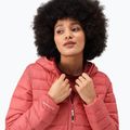 Daunenjacke Damen REGATTA Hooded Marizion mineral red/rumba red 6