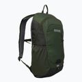 Wanderrucksack REGATTA Highton V2 20 l dkkhk/frlfcl 2