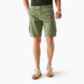 Herren-Trekkinghose REGATTA Ruwan Fauna