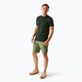 Herren-Trekkinghose REGATTA Ruwan Fauna 2