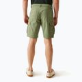 Herren-Trekkinghose REGATTA Ruwan Fauna 3