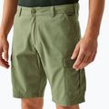 Herren-Trekkinghose REGATTA Ruwan Fauna 4