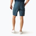 REGATTA Ruwan Mitternachts-Trekking-Shorts für Herren 3