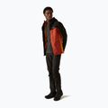 Regenjacke Herren REGATTA Birchdale red ochre/black 2