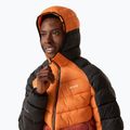 Daunenjacke Herren REGATTA Hooded Dalent fox/red ochre 4