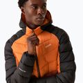 Daunenjacke Herren REGATTA Hooded Dalent fox/red ochre 5