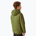 Daunenjacke Kinder REGATTA Junior Hooded Marizion nephrite green/abbeystone 3