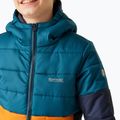 Daunenjacke Kinder REGATTA LoftHouse VIII moroccan blue/fox 5