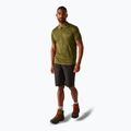 Trekking-Shirt Herren REGATTA Polo Remex II nephrite green 2
