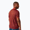 Trekking-Shirt Herren REGATTA Polo Remex II tangerine tango 2