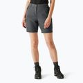 Damen-Trekkingshorts REGATTA Chaska III seal grey