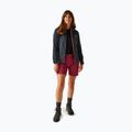 Damen-Fleece-Kapuzenpullover REGATTA Newhill II seal grau/pop 2