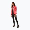 Damen-Trekking-Sweatshirt REGATTA Huntdale Pfirsichblüte 2
