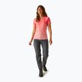 Damen REGATTA Laxley II Pfirsich Blüte ombre T-Shirt 2